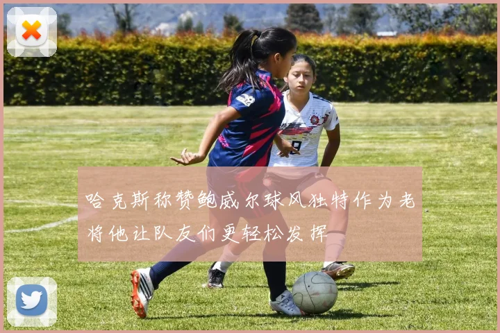 哈克斯称赞鲍威尔球风独特作为老将他让队友们更轻松发挥