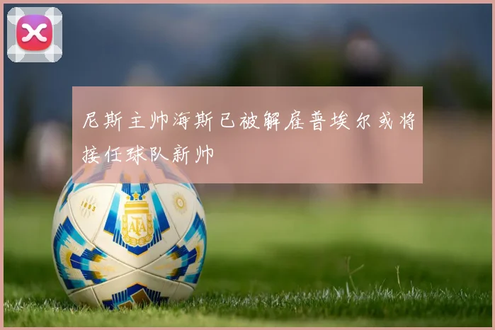 尼斯主帅海斯已被解雇普埃尔或将接任球队新帅