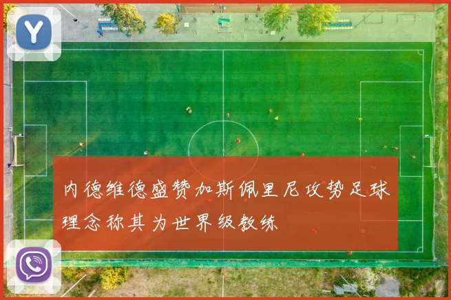 内德维德盛赞加斯佩里尼攻势足球理念称其为世界级教练