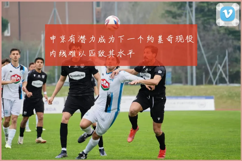 申京有潜力成为下一个约基奇现役内线难以匹敌其水平